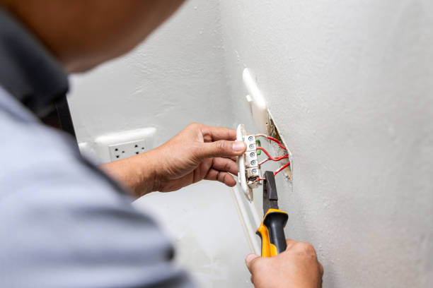 Best Local Electrician Companies  in Plain City, UT